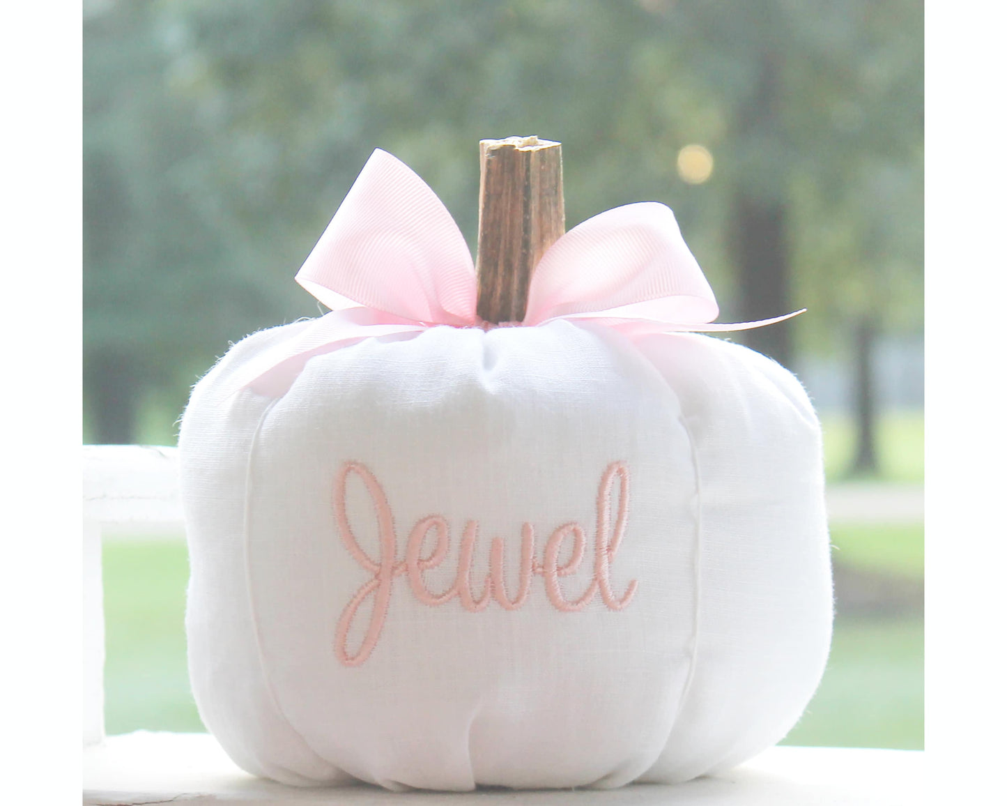 Cinderella Personalized Bow Pumpkin I Monogrammed Princess White with Pink or Blue Pumpkin I Fall Baby Pumpkin I Fall Decor Pumpkin